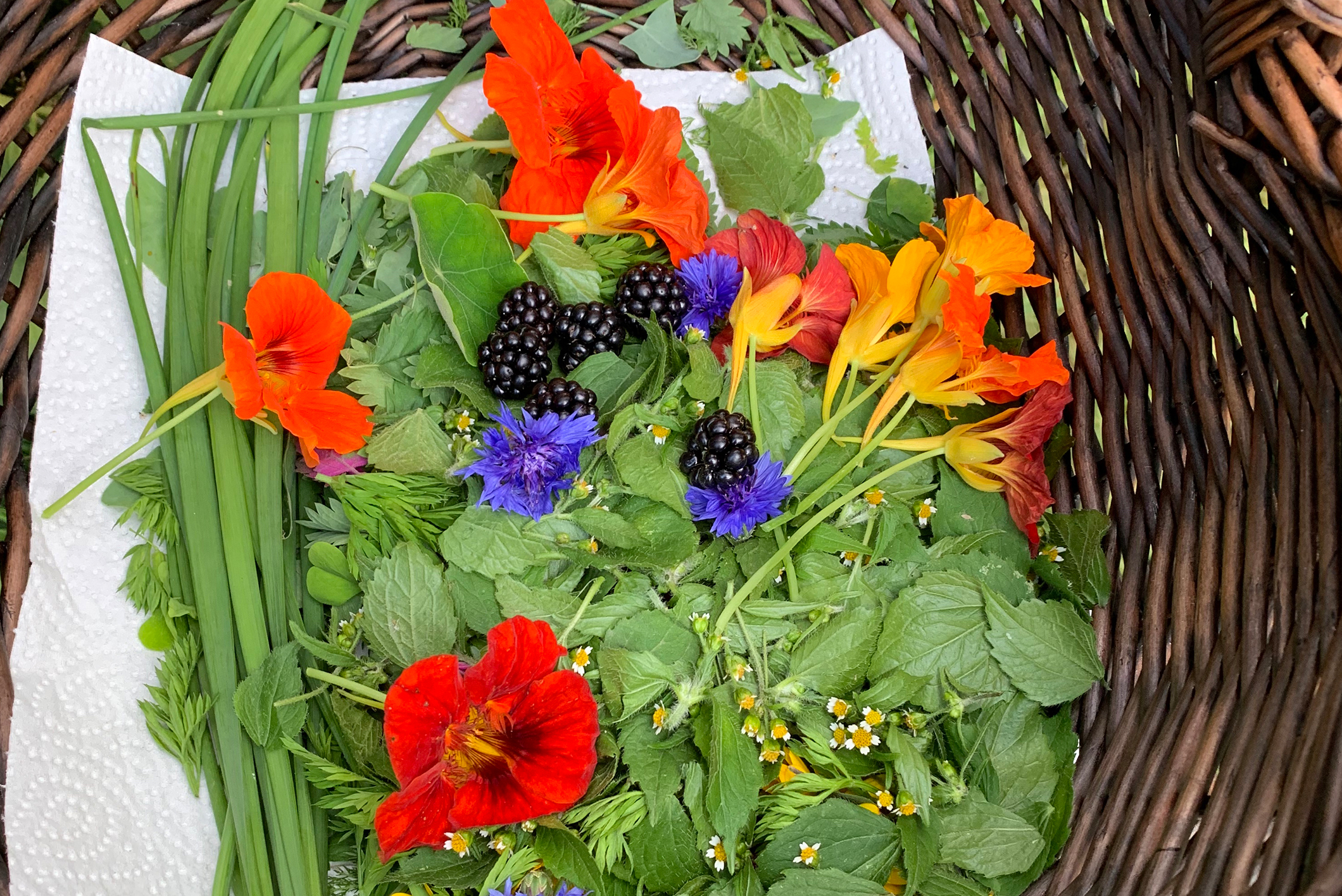 Aus Kräutern und Blüten zaubert die Expertin leckere Salate mit essbarer Deko