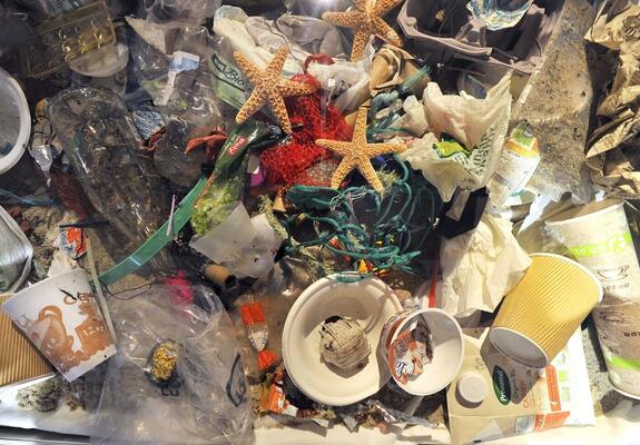 In der Volkshochschule wird am 5. März um 18.45 Uhr in der Puschkinstraße 13 die Ausstellung „Mensch – Müll – Meer“ eröffnet, die den Auftakt für verschiedene Veranstaltungen der Volkshochschule zum Jahresschwerpunkt „Perspektive Europa“ bildet